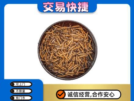 三门峡回收散虫草